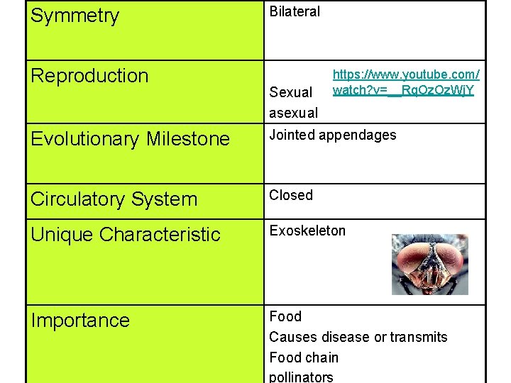 Symmetry Reproduction Bilateral Sexual asexual https: //www. youtube. com/ watch? v=__Rq. Oz. Wj. Y
