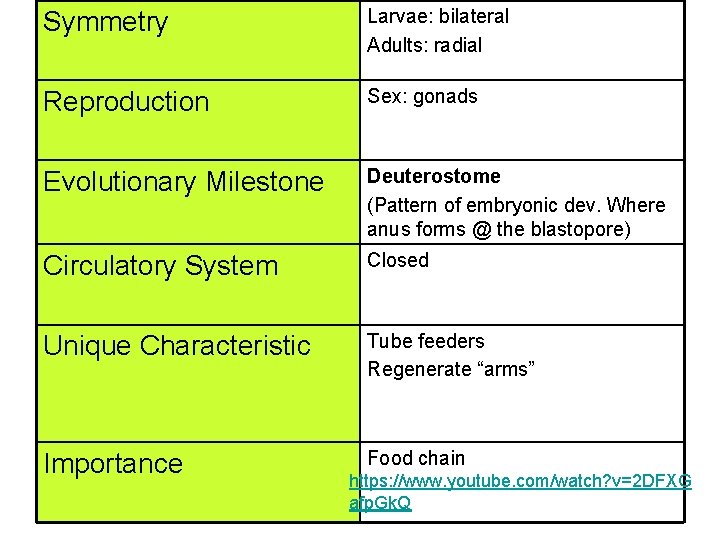 Symmetry Larvae: bilateral Adults: radial Reproduction Sex: gonads Evolutionary Milestone Deuterostome (Pattern of embryonic