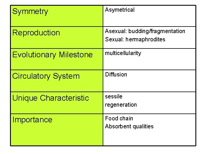 Symmetry Asymetrical Reproduction Asexual: budding/fragmentation Sexual: hermaphrodites Evolutionary Milestone multicellularity Circulatory System Diffusion Unique