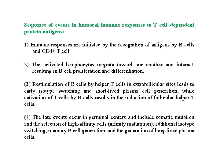 Sequence of events in humoral immune responses to T cell–dependent protein antigens: 1) Immune