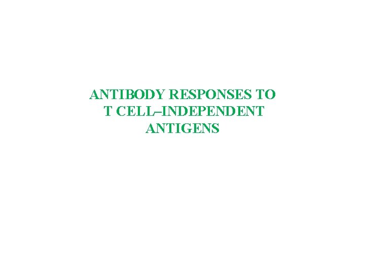 ANTIBODY RESPONSES TO T CELL–INDEPENDENT ANTIGENS 