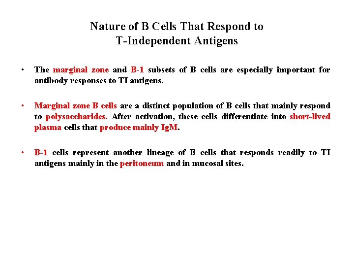 Nature of B Cells That Respond to T-Independent Antigens • The marginal zone and