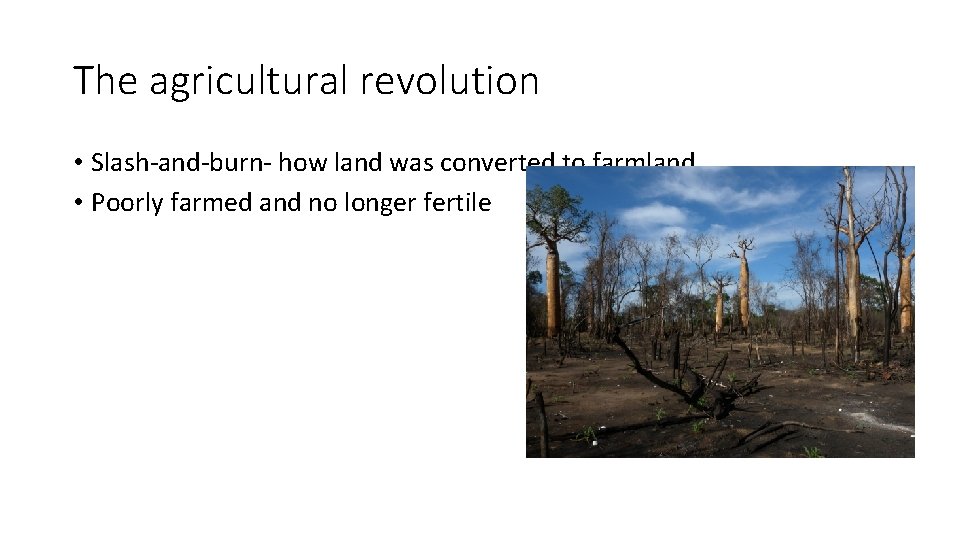 The agricultural revolution • Slash-and-burn- how land was converted to farmland • Poorly farmed