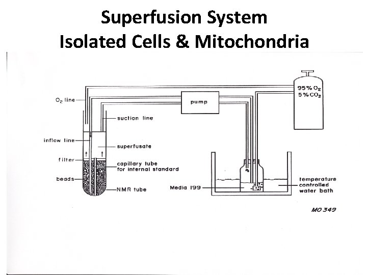 Superfusion System Isolated Cells & Mitochondria 
