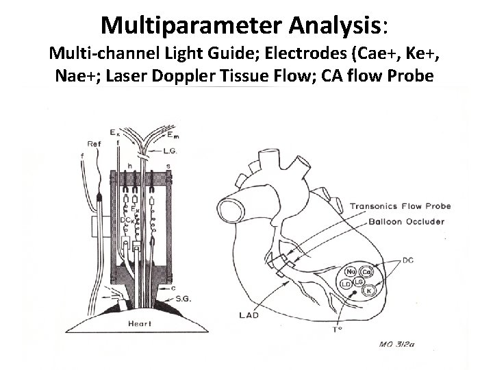 Multiparameter Analysis: Multi-channel Light Guide; Electrodes (Cae+, Ke+, Nae+; Laser Doppler Tissue Flow; CA