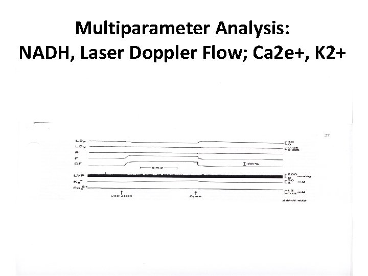 Multiparameter Analysis: NADH, Laser Doppler Flow; Ca 2 e+, K 2+ 