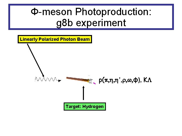 Φ-meson Photoproduction: g 8 b experiment Linearly Polarized Photon Beam p( ’, ϕ), K