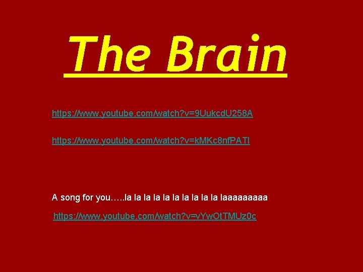 The Brain https: //www. youtube. com/watch? v=9 Uukcd. U 258 A https: //www. youtube.