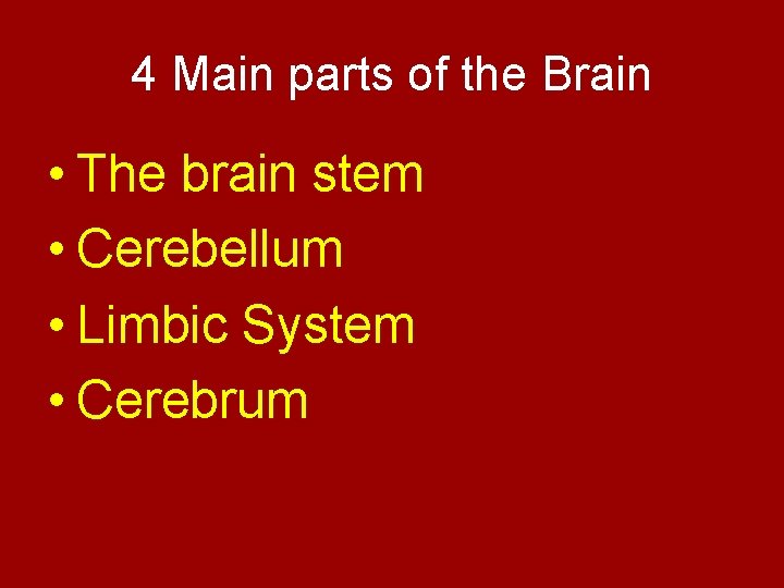 4 Main parts of the Brain • The brain stem • Cerebellum • Limbic