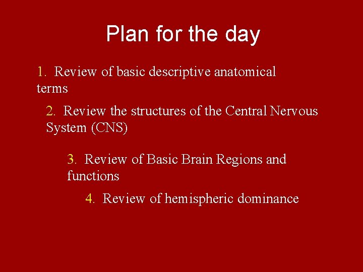 Plan for the day 1. Review of basic descriptive anatomical terms 2. Review the