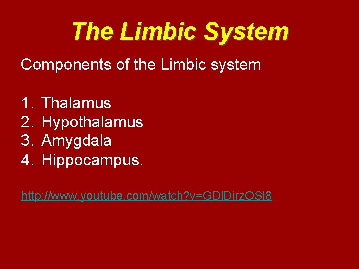 The Limbic System Components of the Limbic system 1. 2. 3. 4. Thalamus Hypothalamus