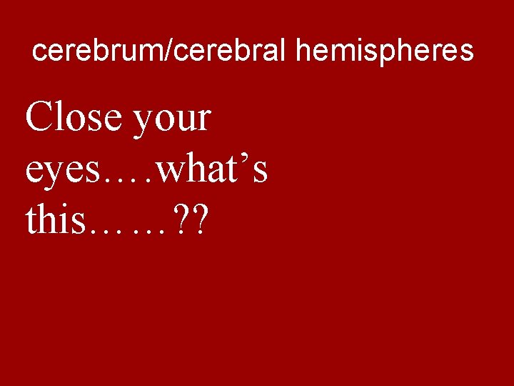 cerebrum/cerebral hemispheres Close your eyes…. what’s this……? ? 