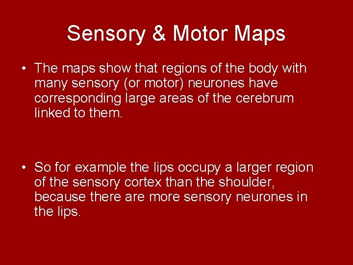 Sensory & Motor Maps • The maps show that regions of the body with