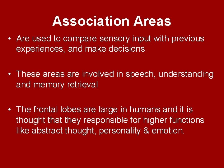 Association Areas • Are used to compare sensory input with previous experiences, and make