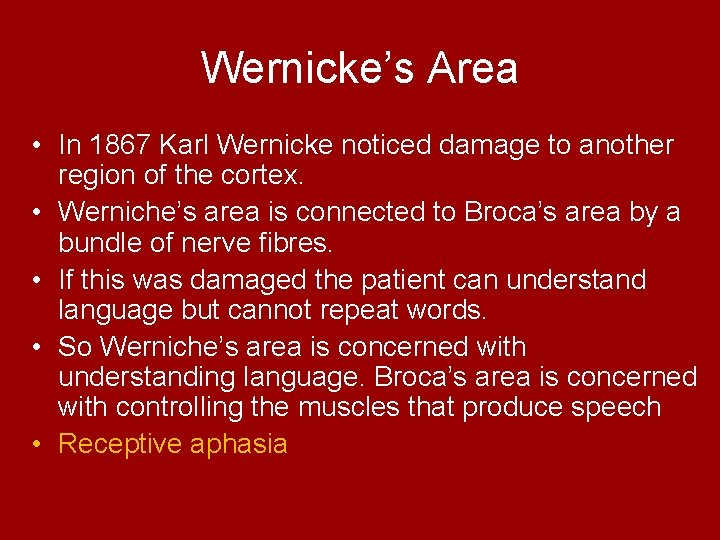 Wernicke’s Area • In 1867 Karl Wernicke noticed damage to another region of the