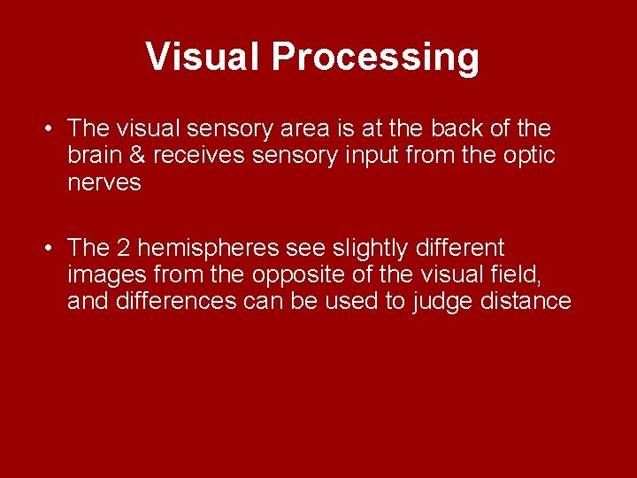 Visual Processing • The visual sensory area is at the back of the brain
