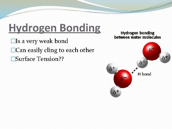 Hydrogen Bonding �Is a very weak bond �Can easily cling to each other �Surface