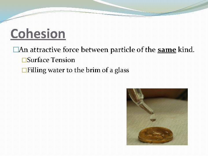 Cohesion �An attractive force between particle of the same kind. �Surface Tension �Filling water