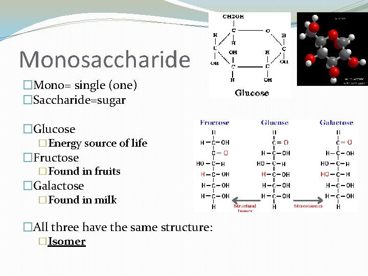 Monosaccharide �Mono= single (one) �Saccharide=sugar �Glucose �Energy source of life �Fructose �Found in fruits