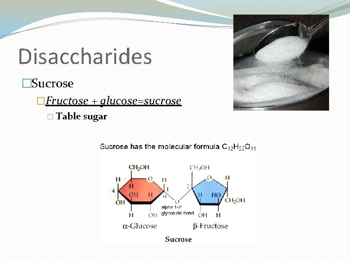 Disaccharides �Sucrose �Fructose + glucose=sucrose � Table sugar 