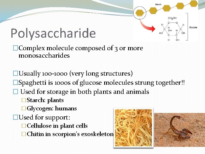 Polysaccharide �Complex molecule composed of 3 or more monosaccharides �Usually 100 -1000 (very long