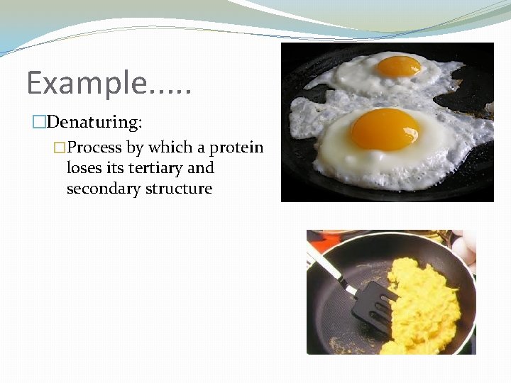 Example. . . �Denaturing: �Process by which a protein loses its tertiary and secondary