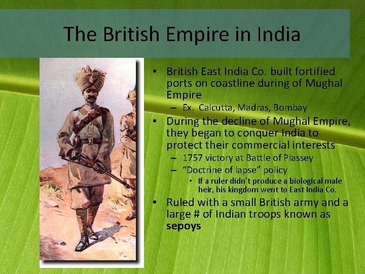 The British Empire in India • British East India Co. built fortified ports on