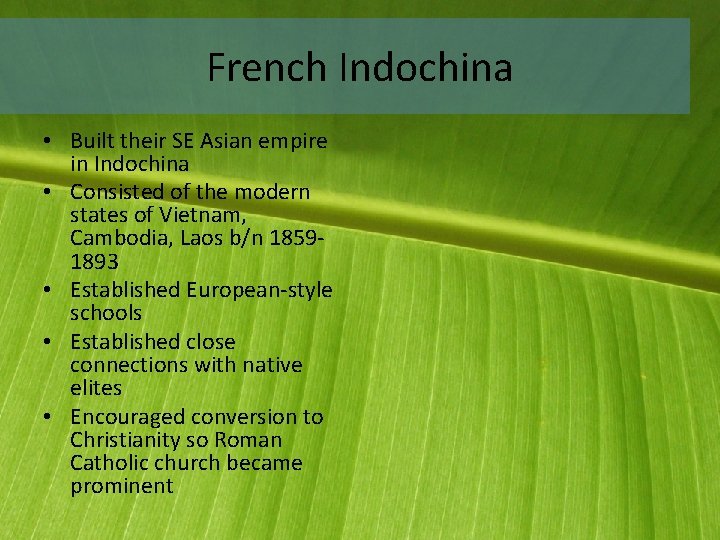 French Indochina • Built their SE Asian empire in Indochina • Consisted of the