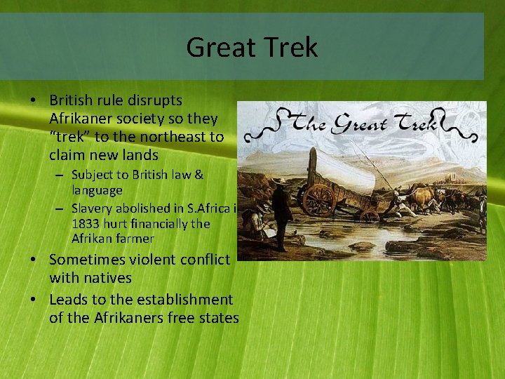 Great Trek • British rule disrupts Afrikaner society so they “trek” to the northeast