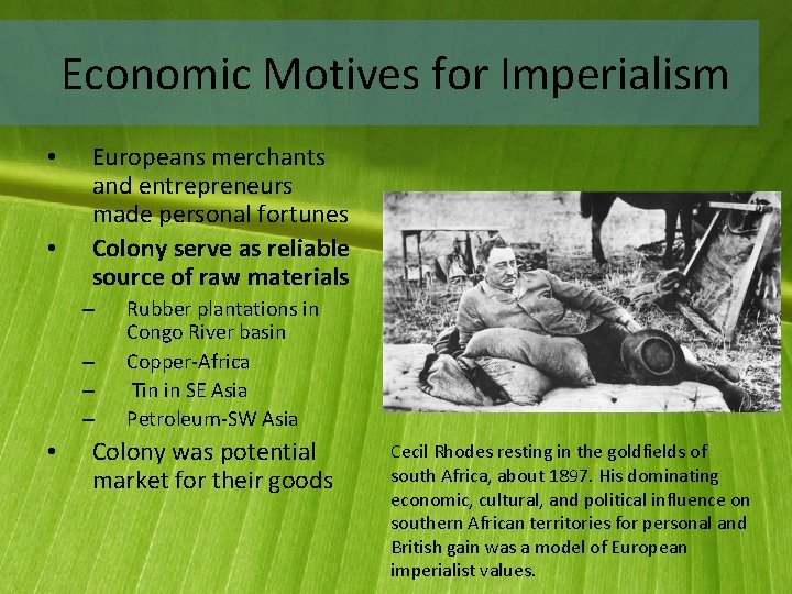 Economic Motives for Imperialism • • Europeans merchants and entrepreneurs made personal fortunes Colony