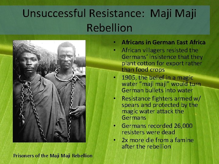 Unsuccessful Resistance: Maji Rebellion • Africans in German East Africa • African villagers resisted