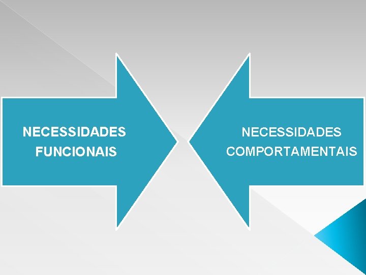 NECESSIDADES FUNCIONAIS NECESSIDADES COMPORTAMENTAIS 