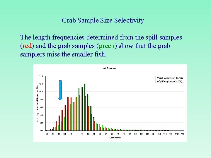 Grab Sample Size Selectivity The length frequencies determined from the spill samples (red) and