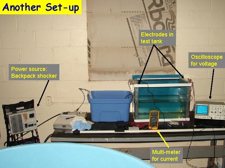 Another Set-up Electrodes in test tank Oscilloscope for voltage Power source: Backpack shocker Multi-meter