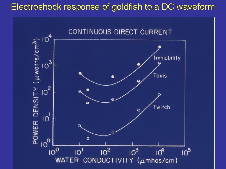 Electroshock response of goldfish to a DC waveform 