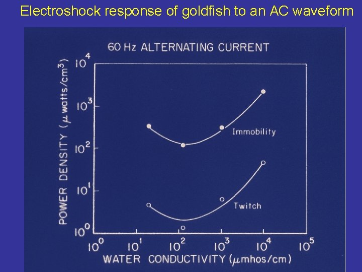 Electroshock response of goldfish to an AC waveform 