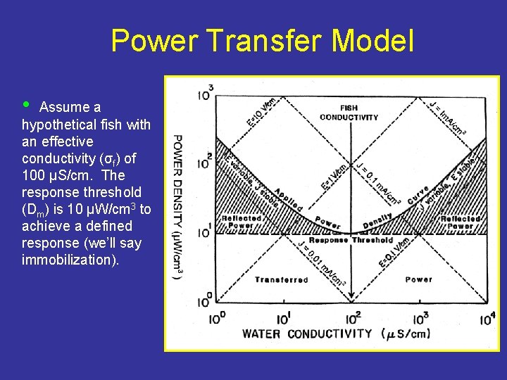 Power Transfer Model • Assume a hypothetical fish with an effective conductivity (σf) of