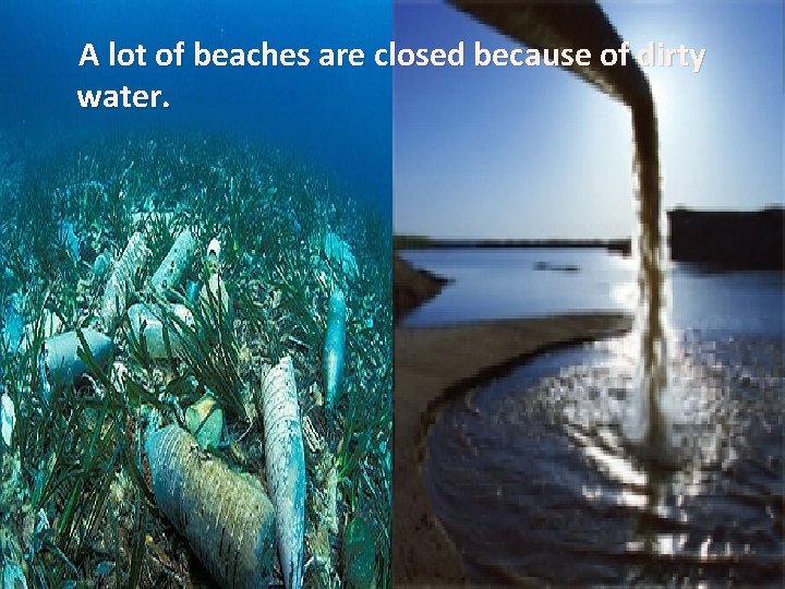 A lot of beaches are closed because of dirty water. 