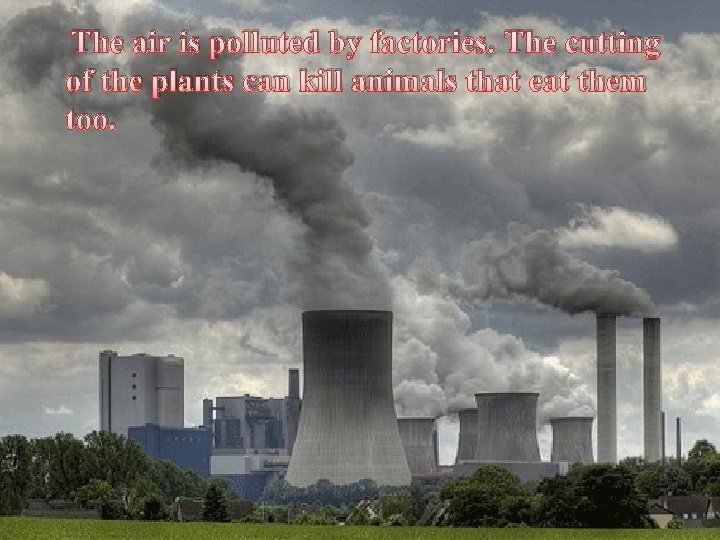The air is polluted by factories. The cutting of the plants can kill animals