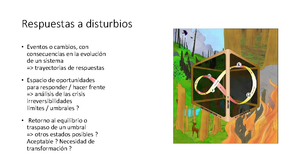 Respuestas a disturbios • Eventos o cambios, consecuencias en la evolución de un sistema