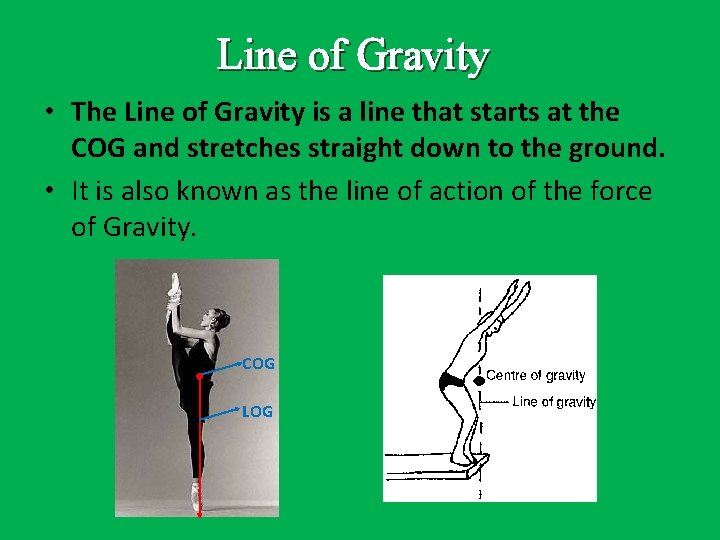 Line of Gravity • The Line of Gravity is a line that starts at