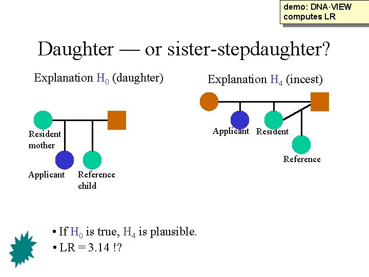 demo: DNA·VIEW computes LR Daughter — or sister-stepdaughter? Explanation H 0 (daughter) Explanation H