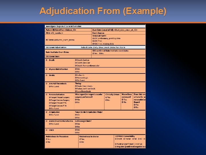 Adjudication From (Example) 