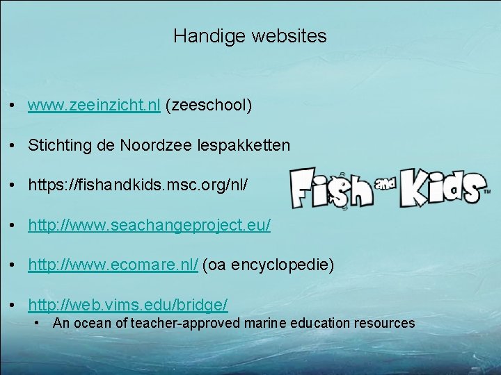 Handige websites • www. zeeinzicht. nl (zeeschool) • Stichting de Noordzee lespakketten • https: