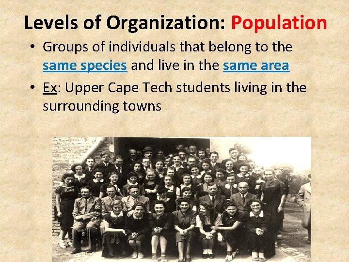 Levels of Organization: Population • Groups of individuals that belong to the same species
