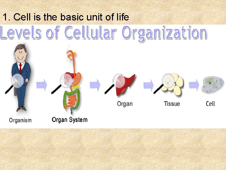 1. Cell is the basic unit of life 