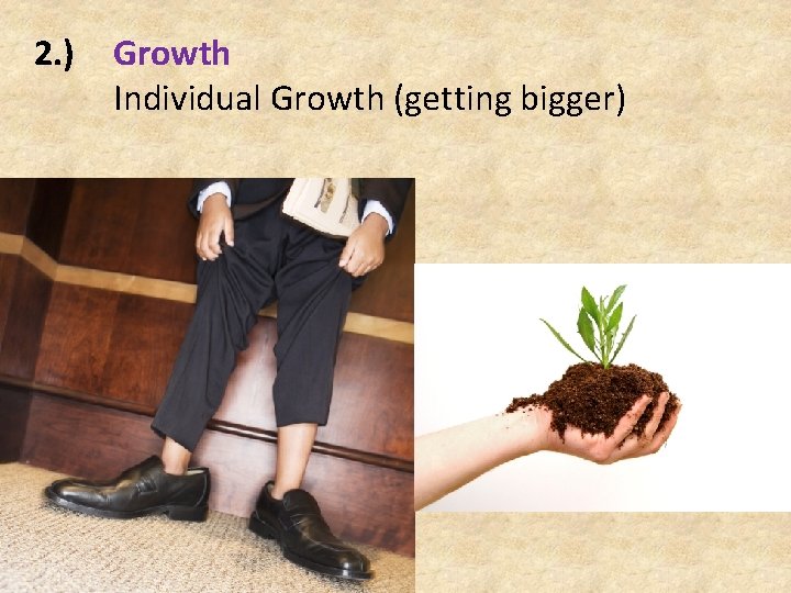 2. ) Growth Individual Growth (getting bigger) 