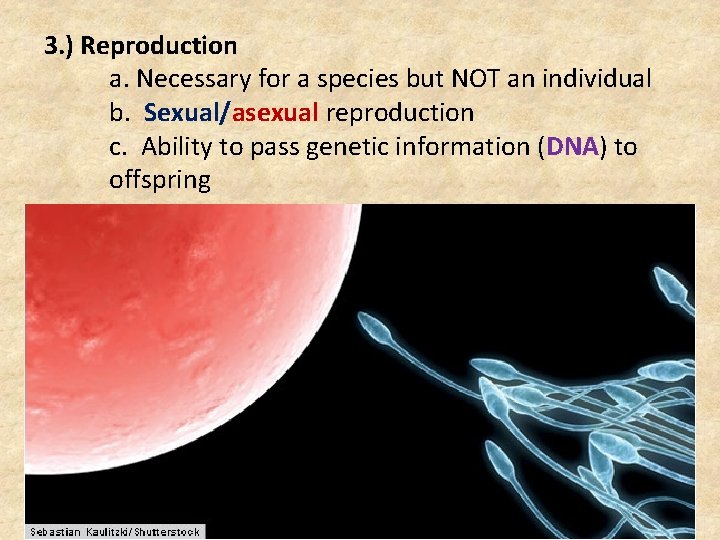 3. ) Reproduction a. Necessary for a species but NOT an individual b. Sexual/asexual