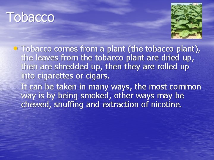 Tobacco • Tobacco comes from a plant (the tobacco plant), the leaves from the