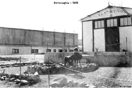 Berrouaghia – 1958 (Amédée Arzel) 